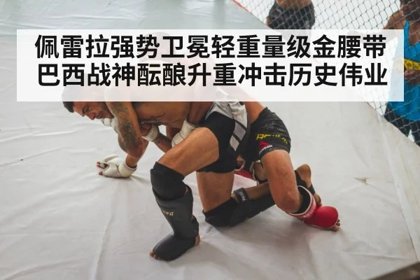 UFC fighter knockout