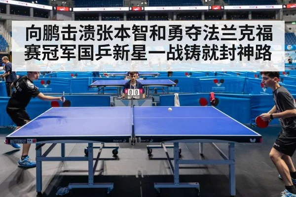 向鹏击溃张本智和勇夺法兰克福赛冠军国乒新星一战铸就封神路